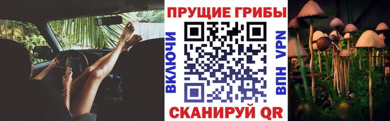 Псилоцибиновые грибы мухоморы  Солигалич 